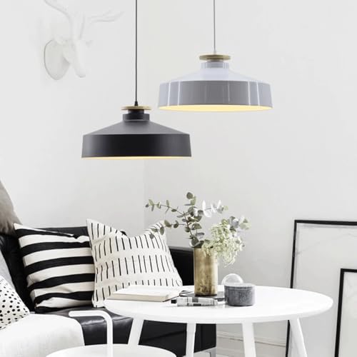 Plafonnier Encastré orienté douille E27 suspension fer robuste