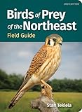 Birds of Prey of the Northeast Field Guide (Bird Identification Guides)