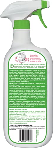 Oxy Dog Stain & Odor Oxidizer – Peroxide Cleaner For Urine, Feces, Vomit, Drool (32 Oz Sprayer) #TOP1
