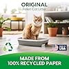 Fresh News Post Consumer Paper Pellet Cat Litter, 12-Pound