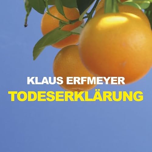 Couverture de Todeserkl&auml;rung