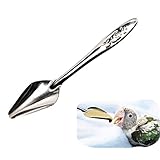 10 PCS Bird Feeder Spoons Stainless Steel Milk Medicine Parrot Feeding Scoops Hand Feeding Spoons for Peony Cockatiel Parrot