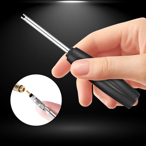 Image of Psyqtsuary 2 Pieces Valve Core Torque Tool Screwdriver Tire Valve Stem Core Remover Tool Valve Core Removal and Installation Tools for All Standard, Silver