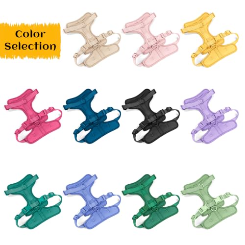 Wisedog No Pull Dog Harness, Emerald Green, X-Small — view 6