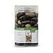 FloraCraft Rocks with 5-Pound Square Reuseable Jar, Multiple Sizes, Multiple Colors