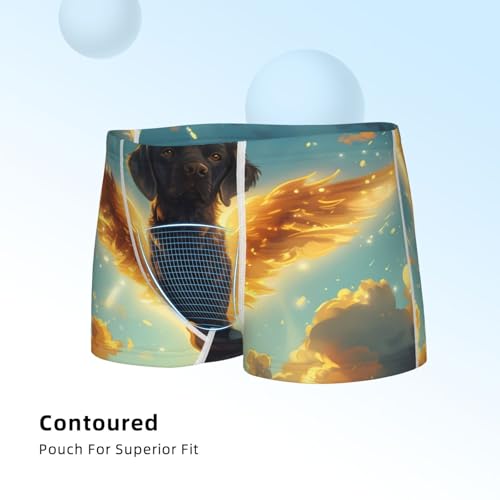 Boys' Cotton Boxer Brief Soft Underwear-Golden Cloud Winged Dog4