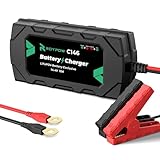 12V 10A Lithium Battery Charger, RoyPow 12V 10A LiFePO4 Battery Charger, 12V Automatic Trickle Battery Chargers, 10A Battery Maintainer for LiFePO4 Batteries, Lithium Batteries, Car, Marine