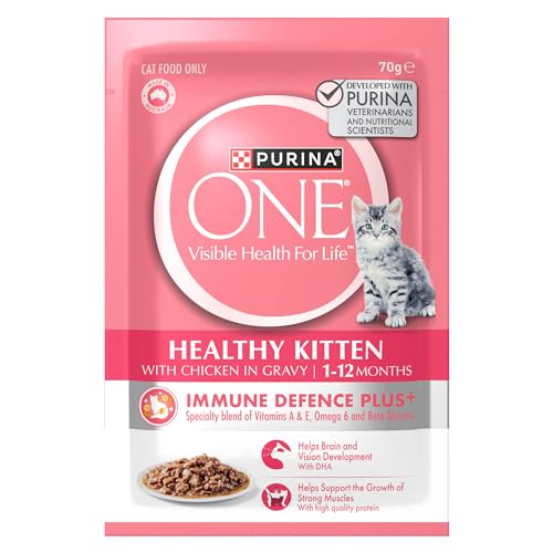 kitten food supplements