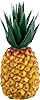 Nino Percussion Fruit Shaker Pineapple - Musical Instrument for Children from 3 Years - Plastic, Multicolored (NINO595) #1
