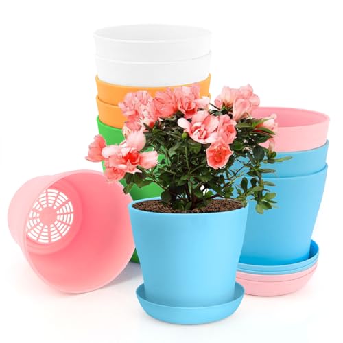 OALCQ 5 Inch Plant Pots 10 Pcs Small Flower Pots for Indoor Plant Pot Succulent Pot Small Plant Pots with Drainage Planters for Indoor Plants Nursery Pots for Plants Herb Planter 5 Colors