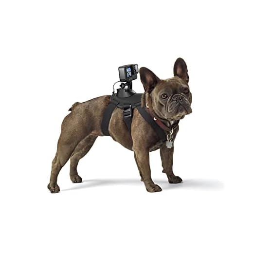 GoPro Fetch - Arnés de cámara GoPro para Mascota, Color Negro