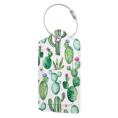 [Bnojjellol] ו^Ot@bViuȃX[cP[X[x