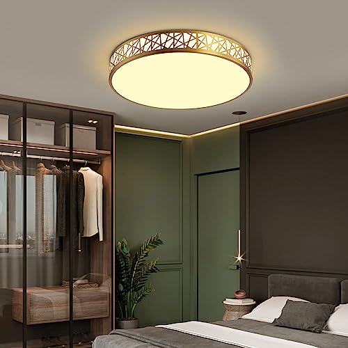 Lámpara de techo moderna con decoración premium Dere de 19.7 pulgadas 6