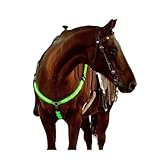 Deux options d'alimentation disponibles : offertes dans les versions avec batterie intégrée, remplaçable par l'utilisateur (CR2032) ou rechargeable via USB pour une utilisation pratique à long terme.