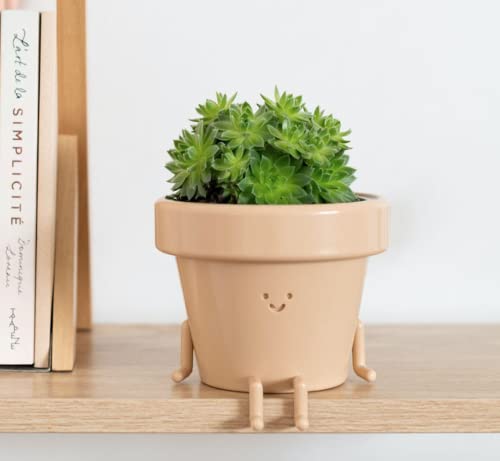 Sitting Indoor Plant Pot, Unique Cute Plastic Flower Pot With Face, 3.5 Inch Succulent/Cactus Gift Planter With Drainage Hole, Decorative Plant Pot, Novelty Planter (1X Sitting Pot) #TOP4