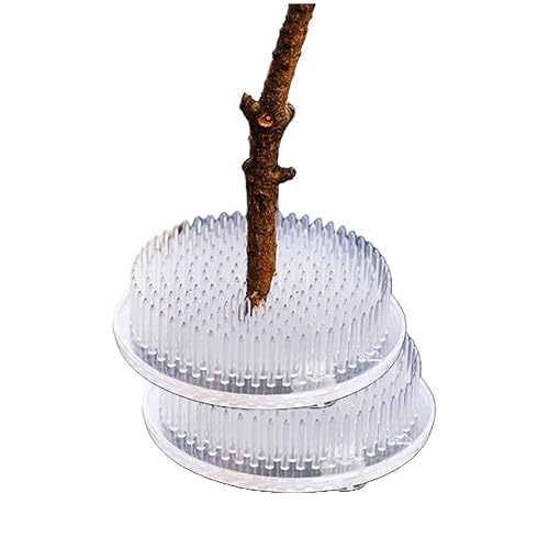 剣山 (華道)」の人気商品一覧 | 安い商品を通販サイトから探す - 価格.com