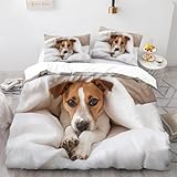 cuccioli jack russel brescia 【Prodotto】： Set di biancheria da letto contiene 1 copripiumino 200x200 cm e 2 federe 50x80 cm. Nessuna trapunta. Le dimensioni della federa possono essere personalizzate gratuitamente in base alle proprie esigenze