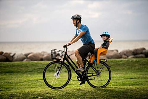 Cadeirinha Cadeira Traseira Para Bicicleta Thule Ridealong Lite