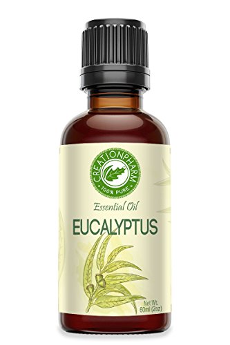 Eucalyptus globulus 2 oz - Aceite de Eucalipto Esencial miniatura 1