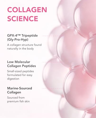 EVER COLLAGEN Time Korean Marine Collagen Powder