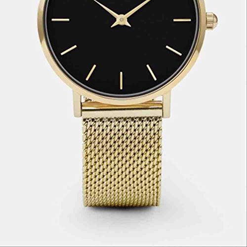 DECTN Armbanduhr Einfache ultradünne Damen Auto Linie gürtel Frauen wasserdichte Uhr licht Gold Shell schwarz Gesicht licht Gold net