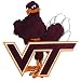 NCAA Virginia Tech Hokies Car Magnet "Hokie" (Large, 2 Pack)