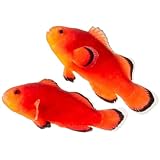 2-Pack Naked Ocellaris Clownfish – Captive-Bred Live...