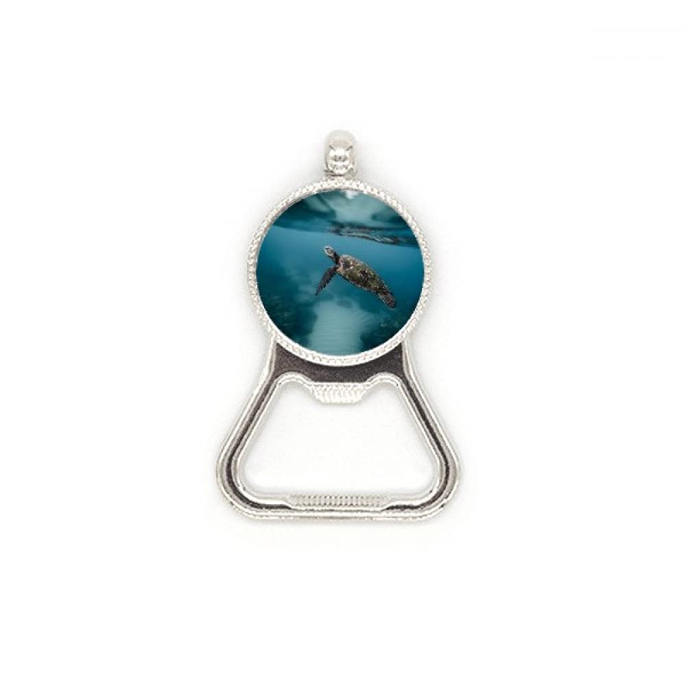 Ouvre-bouteille tortue de mer acier inoxydable décapsuleur design