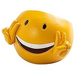 Que Ce Soit Placé Par Vous-Même Ou Donné Aux Autres, Il Sera Apprécié Par Le Propriétaire.