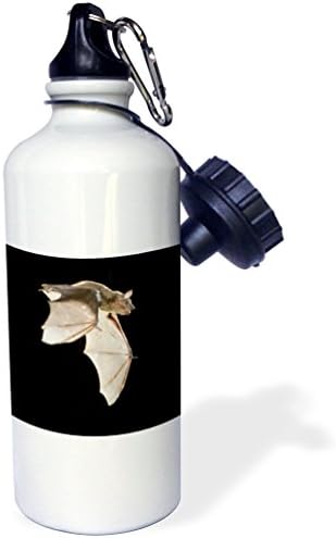 3dRose "Gambels Quail, bird, Tucson, Arizona NA02 RNU0137 Rolf Nussbaumer" Sports Water Bottle, 21 oz, White image 3