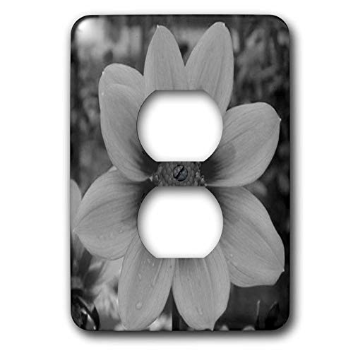 Cosmos Flower 2 plaque décorative pour prise de salon moderne