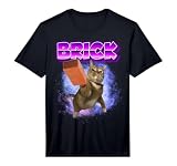 Funny Cat Throwing Brick Brainrot Memes Oddly Specific Memes Performance T-Shirt