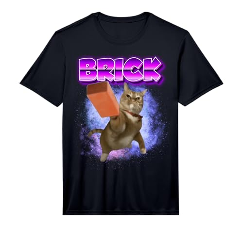 Funny Cat Throwing Brick Brainrot Memes Oddly Specific Memes Performance T-Shirt