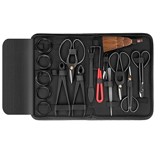 Kit Bonsai Lidl El mejor para comprar en 2023