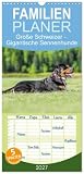 Familienplaner 2027 - Große Schweizer - Gigantische Sennenhunde mit 5 Spalten (Wandkalender, 21 x 45 cm) CALVENDO: Die Riesen unter den Sennenhunden ! (CALVENDO Tiere)