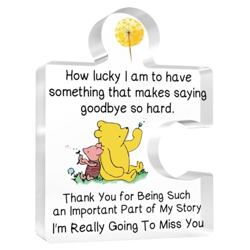 Cute little bear the Decor Gifts the Gifts for Women Thank You for Being Such an Important Part of My Story Gift for Best Friends Acrylic Puzzle Decorative Signs
