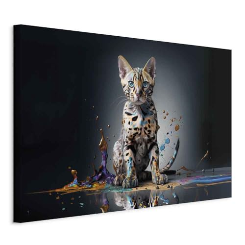 Tableau chat photo drôle 60x40 cm murando decoration murale taches colorees abstraites