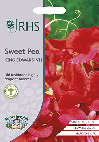 Mr Fothergill's - RHS Sweet Pea King Edward VII, red