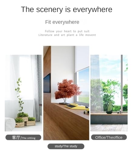 Plante paresseuse simulation d'orchidées vanille pour intérieur sans entretien - 7