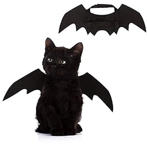 猫のハロウィンコスプレ ペットが嫌がらないかわいい仮装グッズのおすすめプレゼントランキング 予算5 000円以内 Ocruyo オクルヨ