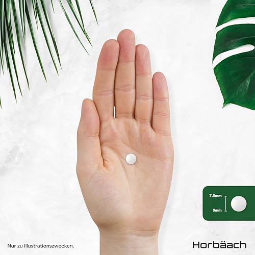 Vitamin B5 Pantothensäure 500mg | 3 Monate Vorrat | Hochdosiert | 90 Vegan Tabletten | Pantothenic Acid | Horbaach