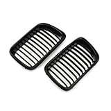 Robust: Dieser Auto-Frontgrill ist fest befestigt und muss nur mit Wasser abgewaschen werden, um ihn sauber zu halten.