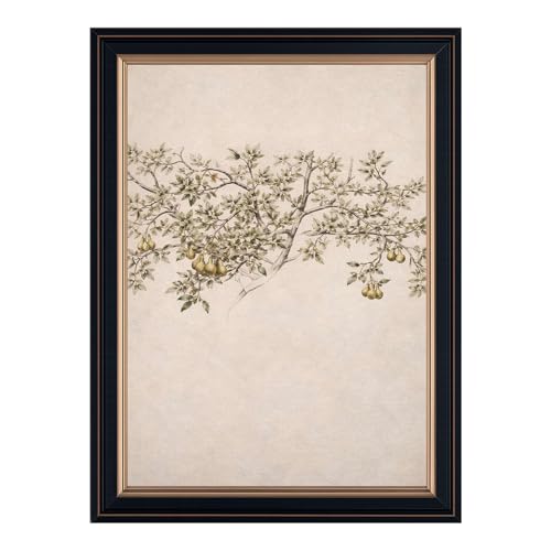 Framed Pear Tree branch Poster Canvas Print Vintage Rustic Wall Art Pictures Wall Decor Painting, Exquisite Nature Botanical Decor for Living Room Bedroom Apartment (Rerto Framed,12L X16W)