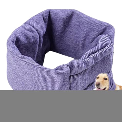 pwbhbvApJo[,pJo[pC[}t - h~AXgXpXJ[tACO[~Opybgt[h