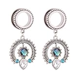 BWDHJLEY Plug Oído Acero Inoxidable, Esparcidor Oreja Plata Colgante Redondo con Circonita Cúbica Esparcidor Lóbulo Joyería 2 Piezas, 10mm, Acero inoxidable, circonita cúbica