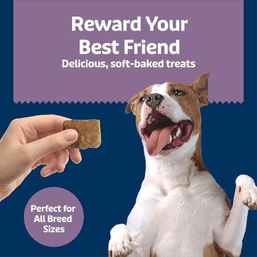 Blue Buffalo Health Bars Chicken & Mixed Berries Soft & Chewy Treats, 9 oz - image 4