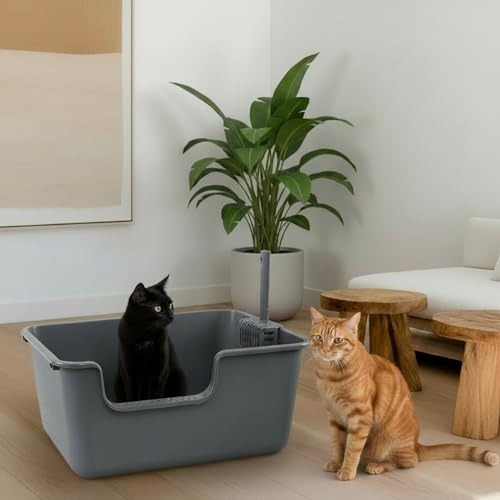 Arenero large para gato 4 unidades Readsky plástico miniatura 5
