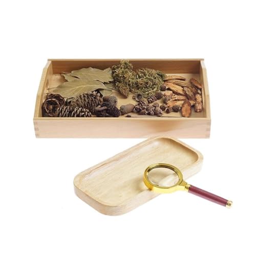 VZZCGJVT Giocattoli Montessori Set di osservazione con Lente d'Ingrandimento, ausili educativi scientifici e culturali