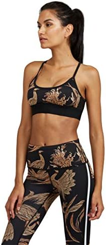Noli Yoga Core Bra (Siena, Small)