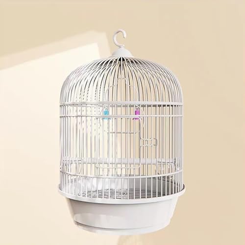 Ambety IJCR P[W ی^  _F GT2 o[hnht   Ƃ肩 CeA  ^   Zbg CRړ 䟭 ZLZCCR ȃXy[X ꂩ񂽂 (zCg)